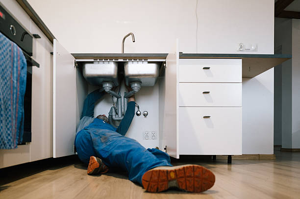 Professional Emergency Plumber technician working in Paloma, IL